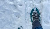 Randonnée Raquettes à neige Tubize - Sortie raquettes dans la réserve Natagora du Coeurcq - Photo 4