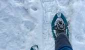 Tour Schneeschuhwandern Tubize - Sunday Afternoon Walk - Photo 4