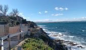 Trail Walking Argelès-sur-Mer - argeles - collioure / retour par la mer  - Photo 8