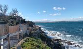 Tocht Stappen Argelès-sur-Mer - argeles - collioure / retour par la mer  - Photo 8