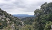 Tour Wandern Cucuron - Mourre nègre - Versand Sud depuis Cucuron - Photo 4