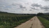 Tour Wandern Saâcy-sur-Marne - 20240910 rando  - Photo 6