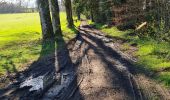 Tocht Stappen Condat-sur-Vienne - Condat s/v - Photo 5