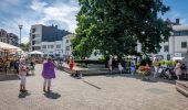 Tour Zu Fuß Spa - La Ligne Bleue (blaue Pflastersteine auf dem Boden) - Photo 14