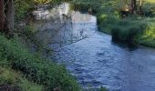 Tocht Stappen Sainte-Ode - Marche ADEPS Lavacherie - Photo 15