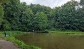 Randonnée Marche Seraing - Dans les bois de Seraing - Photo 1