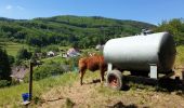 Tour Wandern Weiler - Le massif de la Honel - Photo 6