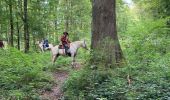 Excursión Paseo ecuestre Saint-Hubert - Chez Audrey et Laure a la chapelle de Rabas  - Photo 4