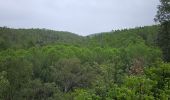 Tour Wandern Pierrefeu-du-Var - Circuit dans les maures - Photo 2