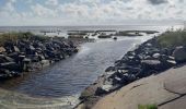 Excursión Senderismo Port-des-Barques - st froult entre mer et marais 11.5 - Photo 1