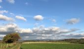 Excursión Bici de carretera Aubel - Tour des vignes de la coopérative Vin du Pays de Herve - Photo 10