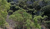 Tour Wandern Marseille - Rando à l'En Veau - Photo 7