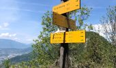 Tocht Stappen La Thuile - La Thule 01-06-2021 - Photo 7