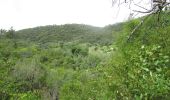 Percorso A piedi Querença, Tôr e Benafim - Fonte Benémola - Photo 6