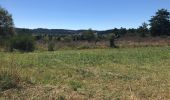 Tocht Stappen Saint-Merd-les-Oussines - Correze Mille Vache Longeyroux - Photo 3