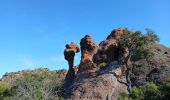 Trail Walking Le Muy - Ste Candie - Photo 8