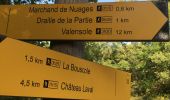 Trail Walking Gréoux-les-Bains - 2019 09 16 château Laval et marchand - Photo 6