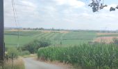 Trail Walking Bassenge - A la découverte de Wonck 🥾 - Photo 2