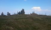 Randonnée Marche Wasserbourg - Tour du Petit Ballon et des fermes auberges - Photo 4