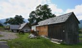 Tour Zu Fuß Gemeinde Puchberg am Schneeberg - Puchberger Naturfreunde Rundwanderweg - Photo 10