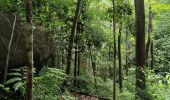 Excursión Senderismo Sainte-Luce - Forêt de Montravail  - Photo 10