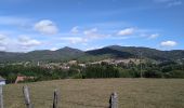 Tour Wandern Sentheim - Marcher au marché - Photo 4