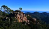 Tour Wandern Mandelieu-la-Napoule - Mandelieu - Chapelle St Jean - Baisse Violette - Suvières - Marsaou - Col des 3 Termes - Oeufs de Bouc - Photo 5