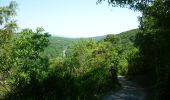 Trail Walking Tharaux - Tharaux - Photo 20