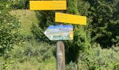 Randonnée Trail Saint-Jean-de-Maurienne - Saint jean de Maurienne - Le Grand Chatelard - Photo 9