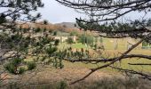 Trail Walking Roussas - Roussas 8km - Photo 4