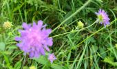 Tour Wandern Ottenhöfen im Schwarzwald - Karlsruher Grat  - Photo 9