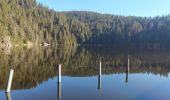 Trail Walking Soultzeren - lac vert Haut Rhin - Photo 2