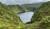 Tour Wandern Fajã Grande - Le tour des lacs de cratère à Flores - Photo 4