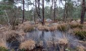 Trail Walking Fontainebleau - Rocher du Cuvier Châtillon - Photo 2