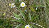 Tocht Te voet Fiordland Community - Borland Road to Monowai Hut - Photo 4