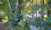 Randonnée Marche Saint-Brisson - Le Saut du Gouloux - Morvan - Photo 8