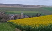 Tour Wandern Vauchassis - Vauchassis Bercenay Vauchassis - Photo 6