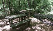 Tour Wandern Momignies - Seloignes 110621 - Photo 4