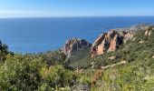 Trail Walking Saint-Raphaël - Cap Roux et grues depuis Belle-Barbe - Photo 9