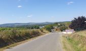 Trail Walking Pouilly-sur-Loire - Pouilly sur loire 58:rando dans les Vignes  - Photo 14