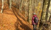 Tour Wandern Court-Saint-Étienne - Essai raté Beaurieux - Photo 2