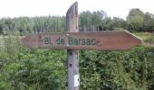 Excursión A pie Barsac - Boucle locale de Barsac - Photo 1