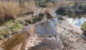 Trail Walking La Garde-Freinet - LA GARDE-FREINET - LE PONT ROMAIN - Photo 5