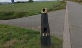 Excursión Bici de montaña Mamer - De Capellen à Virton - Photo 10