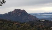 Trail Walking Roquebrune-sur-Argens - La haute Cavalière - Photo 10