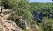 Excursión Senderismo Berrias-et-Casteljau - Bois de Paiolive Gorges de Chassezac - Photo 2