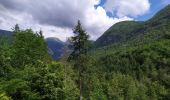 Trail Walking Bohinj - Gorges - Photo 7