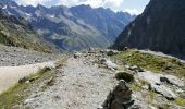 Trail Walking Vallouise-Pelvoux - 05-pre-Mme-Carle-glacier-noir-8km-600m-aout21 - Photo 7