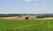 Excursión Senderismo Anhée - De Haut-le-Wastia à Salet - Photo 1