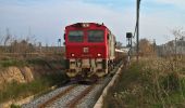 Tocht Te voet Manresa - M7 - Itinerari El regadiu del Poal - Photo 4